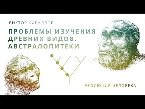 Видео: 6. Проблемы изучения древних видов. Австралопитеки. Происхождение человека - 10 класс