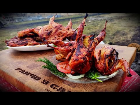 Видео: ПЕРЕПЕЛКИ на мангале. ШАШЛЫК ИЗ ПЕРЕПЕЛОВ. ENG SUB