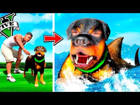 Видео: ЧОП МЕГАЛОДОНҒА АЙНАЛЫП КЕТТІ (GTA V)