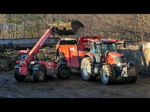 Видео: Загрузка навоза в навозохранилище [Manitou, 3x Case IH, Samson и Jeantil]