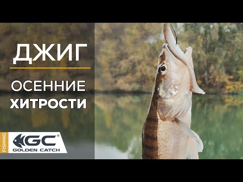 Видео: Джиг на реке. Поиск хищника осенью. Тонкости и нюансы!