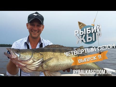 Видео: Рыбалка 2017. Трофейный судак  Иваньковского водохранилища. Рыбий жЫр 4 сезон выпуск 11