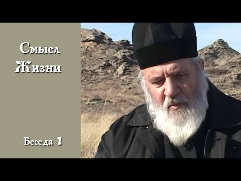 Видео: Смысл жизни. отец Фёдор.