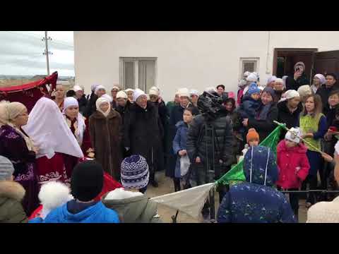 Видео: Беташар.