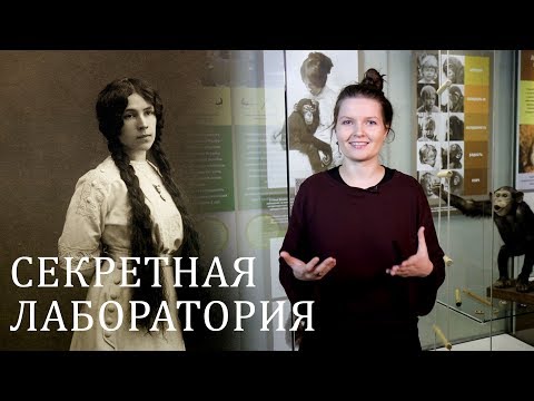 Видео: Зоопсихология и секретная лаборатория Дарвиновского музея. Елена Сударикова.