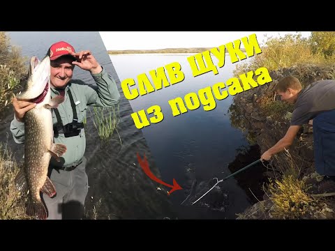 Видео: Слив щуки из подсака. Плотва на Ларву. Щука на кукурузу.