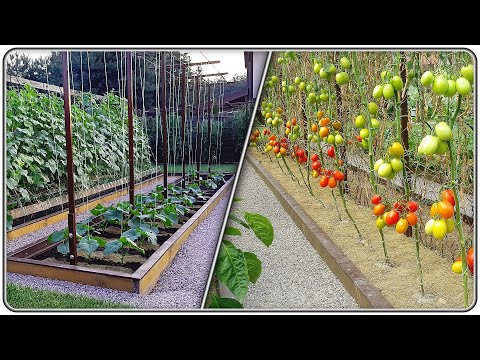 Видео: 84. Универсальная конструкция, для высокорастущих овощей.