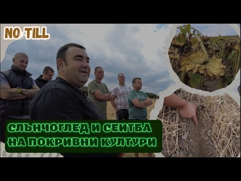 Видео: No Till Слънчоглед и сеитба на Покривни култури - Среща на сдружението при Павката