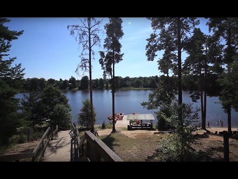 Видео: Рощино, Ленинградская область