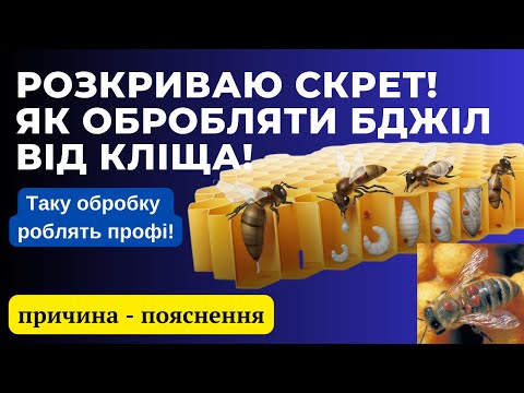 Видео: СЕКРЕТ! Як ефективно обробляти бджіл від кліща! Щоб отримати максимум ефекту!