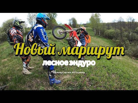 Видео: Разведка нового маршрута на мотоциклах в лесу | Доедут не все