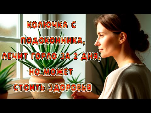 Видео: Алоэ — не для всех: когда народное средство превращается в угрозу