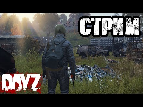 Видео: DAYZ | АТМОСФЕРНОЕ ВЫЖИВАНИЕ В СОЛО!