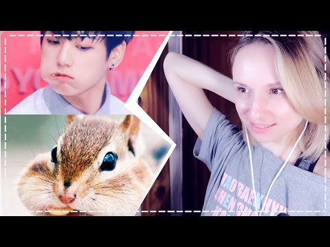 Видео: АЙДОЛЫ ИМИТИРУЮТ ЖИВОТНЫХ! РЕАКЦИЯ/REACTIONS | KPOP ARI RANG