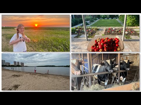 Видео: Прогулка по Энгельсу/ на даче у бабушки 🍓в деревне