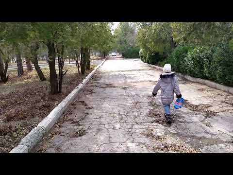 Видео: Заброшенный Зооветеринарный техникум п. Карманово, Григор. р-он,  Приднестровье