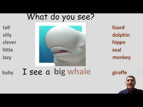 Видео: Урок 24 (урок 7а "Funny Animals!",  модуль 4 "At the Zoo!", учебник Spotlight 4 класс)