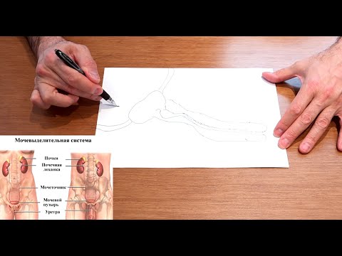 Видео: Пациентские лекции: радикальная простатэктомия.  #АкадемикПушкарь
