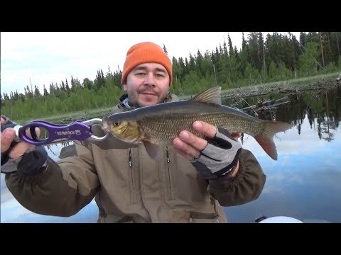 Видео: Рыбалка в Карелии. Озеро Пяозеро, июнь 2016 г.