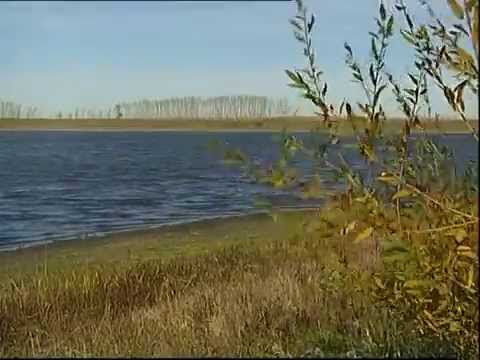 Видео: Рыбак Рыбаку 053 "Организация рыбного хозяйства".