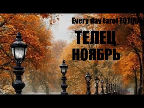 Видео: ♉️ТЕЛЕЦ НОЯБРЬ ТАРО ПРОГНОЗ  2025 