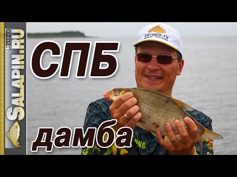 Видео: Рыбалка с фидером на дамбе Финского залива [salapinru]