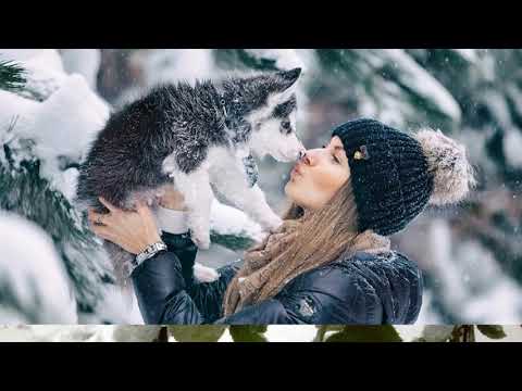 Видео: Осень встретилась с зимою... Мой город!!!