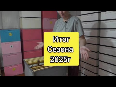 Видео: #пасека Итог пчеловодного сезона 2025г #bee 