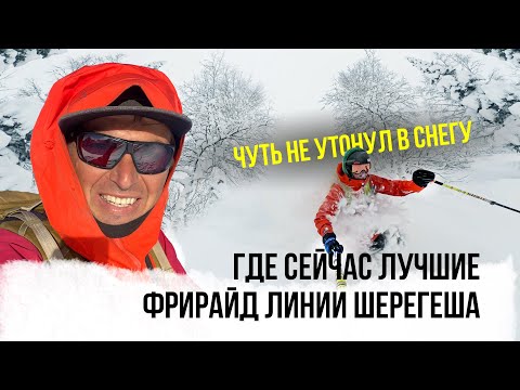 Видео: Какой он - Шерегешский фрирайд? Быстрые спуски по лесу, на полных ходах