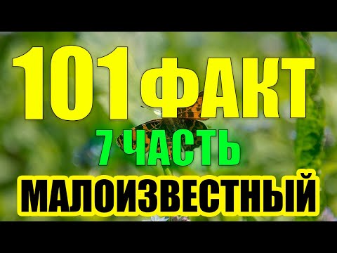 Видео: 101 Малоизвестный Факт, Которые Вы Точно Не знали...