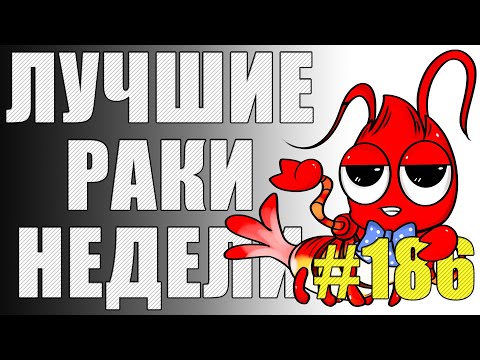 Видео: ЛРН выпуск №186 ⭐ РАКООБРАЗНЫЕ ПОДСАДКИ и ЛЕТАЮЩИЙ ДРИФТЕР ⭐  [Лучшие Раки Недели]