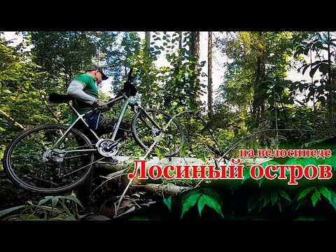 Видео: Лосиный остров на велосипеде