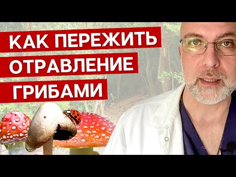 Видео: Как пережить отравление грибами? Какое лекарство должно быть дома?