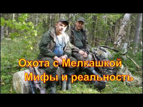 Видео: Рябчик #13 Мелкашка. Мифы и реальность  иж 94 осенняя охота  охота на рябчика