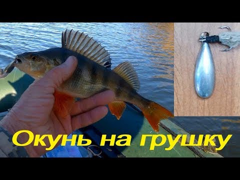 Видео: Ловля окуня на грушку(пуля).Осенний клев окуня.Рыбалка в Казахстане на р. Ишим.