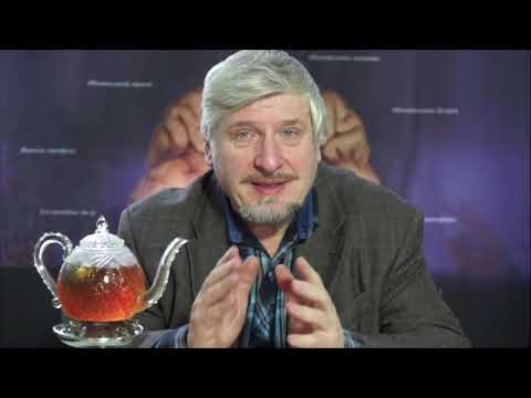 Видео: Наука и Мозг | Ассоциативные Зоны Коры Мозга | 009