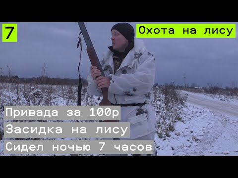 Видео: Охота на ЛИСУ с ЗАСИДКИ. ПРИВАДА за 100р. Сидел 7 часов в засидке.