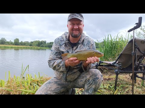 Видео: Я все таки эту рыбу поймал! Линь на Яузском ВДХР!