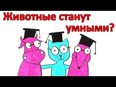 Видео: Что, если все животные на земле станут умными?