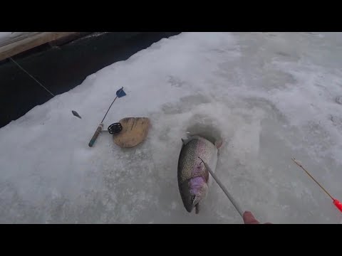 Видео: ЗА ФОРЕЛЬЮ В ЮСУПОВО🐟☝️👍