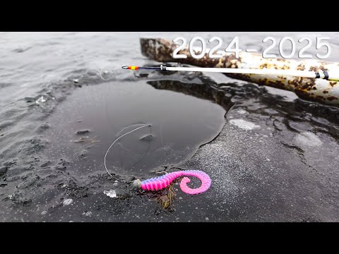 Видео: ТЫ только ПОСМОТРИ, ЧТО они ТВОРЯТ С ЭТИМ силиконом! Зимняя рыбалка со льда 2024-25