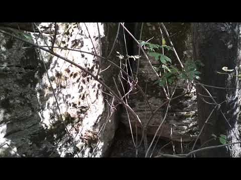 Видео: плачущая скала