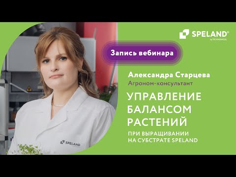 Видео: Вебинар: управление балансом растений при выращивании на субстрате SPELAND