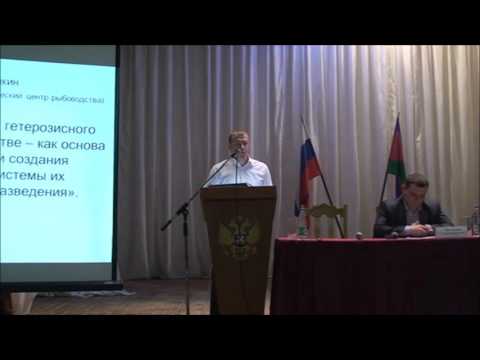 Видео: Технология выращивания карпа и толстолобика