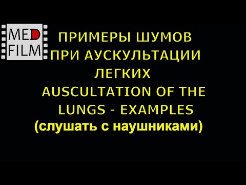 Видео: Аускультация легких - примеры шумов (слушать в наушниках) © Auscultation of the lungs - noises