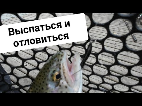 Видео: Как выспаться и отловиться