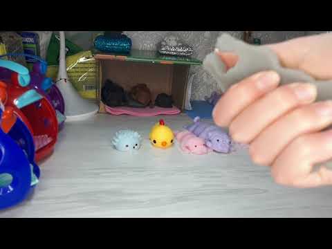 Видео: до конца,на 100 лайков купание сквиши собак!