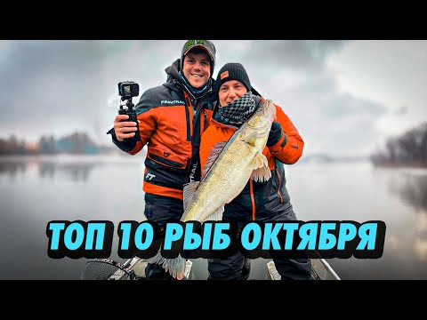 Видео: САМЫЕ БОЛЬШИЕ  РЫБЫ ПОЙМАННЫЕ ЗА ОКТЯБРЬ В РАМКАХ КУБКА ГИДОВ И РЫБАКОВ. РЫБАЛКА С ГИДОМ.