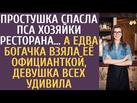 Видео: Простушка спасла пса хозяйки ресторана… А едва богачка взяла её официанткой, девушка удивила всех