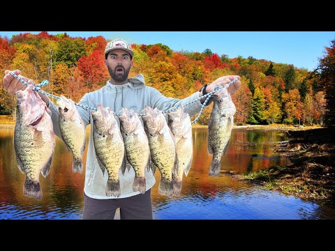 Видео: Нашли ОСЕННЮЮ КРАППИ И ЕЩЕ БОЛЬШЕ, СУПЕР ПОЛУЧЕННОГО КОЛИЧЕСТВА В Спрятанном РУЧЬЕ!!!